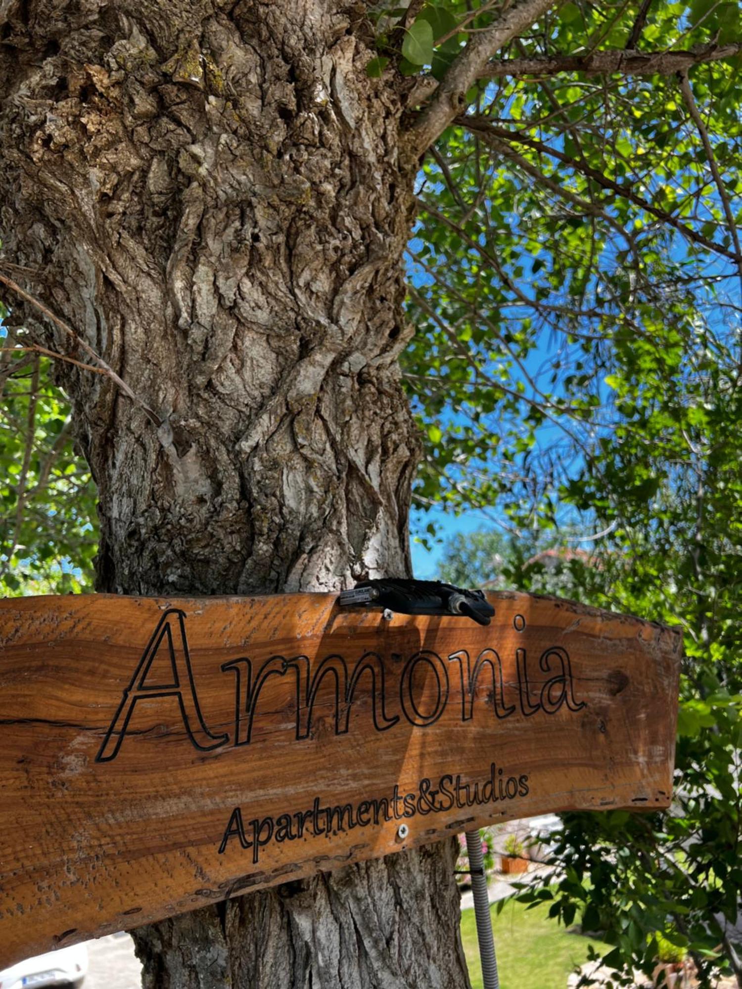 Armonia Apartments & Studios Perivólion Dış mekan fotoğraf